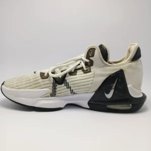 Nike Lebron Witness 6