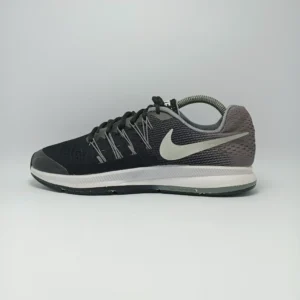 Nike Zoom Pegasus 33